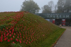 Raised banks of poppies at Thiepval